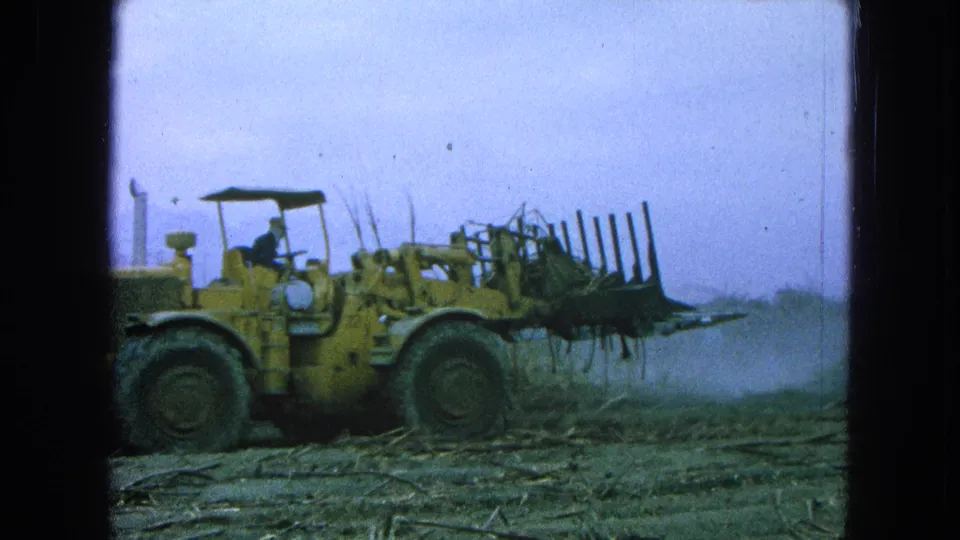 A closer 8mm frame shows the loader’s front attachment holding cut sugarcane while the driver sits under the small canopy.