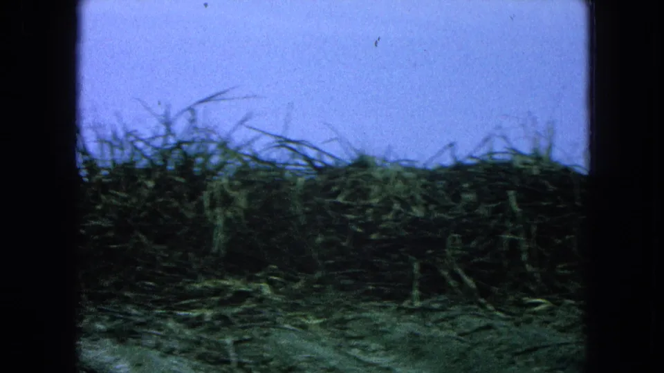 Rural 8mm frame from the Pueblo, Mexico clip with dense grass silhouetted against a pale blue sky.
