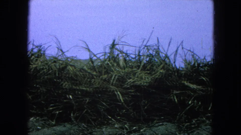 Final frame of the 1965 Pueblo, Mexico clip showing tall grass along the horizon under pale blue sky, bordered by the 8mm frame.