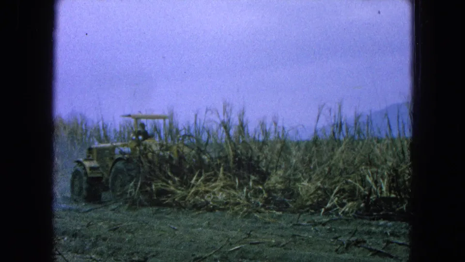 The tractor moves through dense sugarcane in Pueblo, Mexico, with the operator visible but not clearly identifiable.