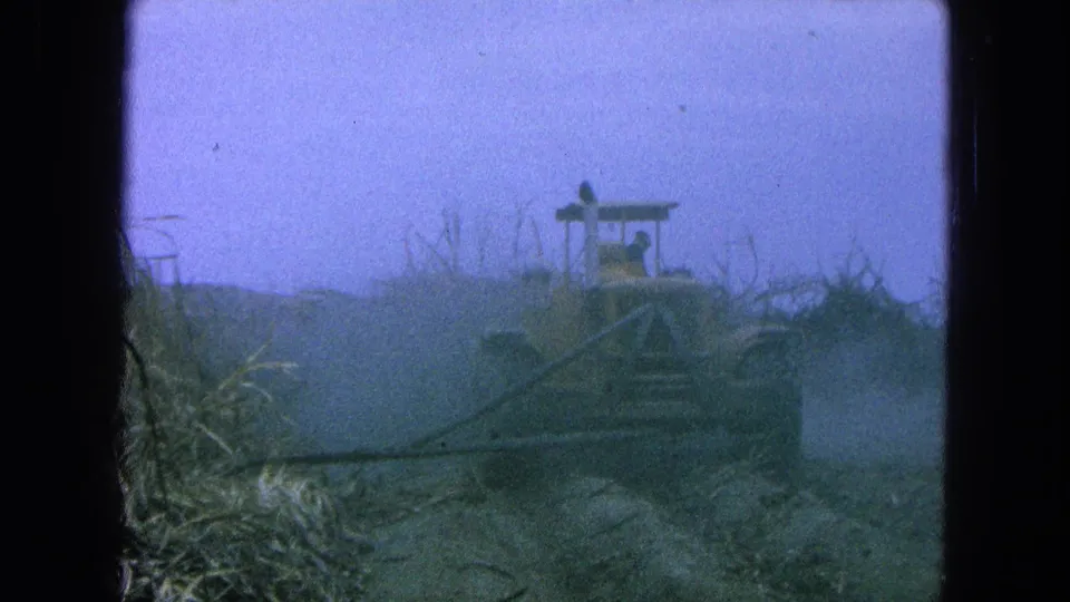 1965 Pueblo, Mexico home-movie frame with the tractor receding through dust and cut cane in the field.