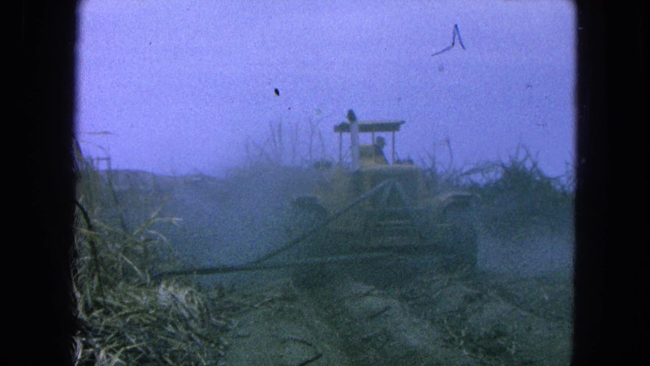 Tractor moving through a hazy sugarcane field with cut vegetation in front.