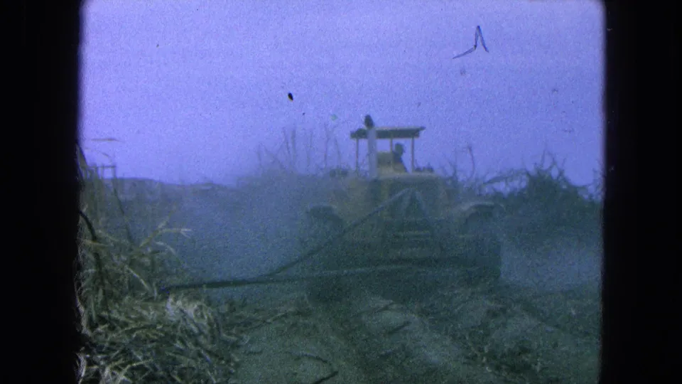 1965 8mm frame from Pueblo, Mexico showing a tractor partly obscured by haze while working through sugarcane.