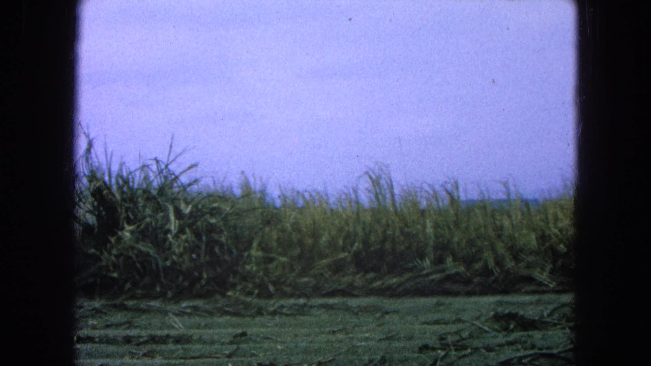 Rural grass field with a low horizon and pale sky, bordered by the 8mm film frame.