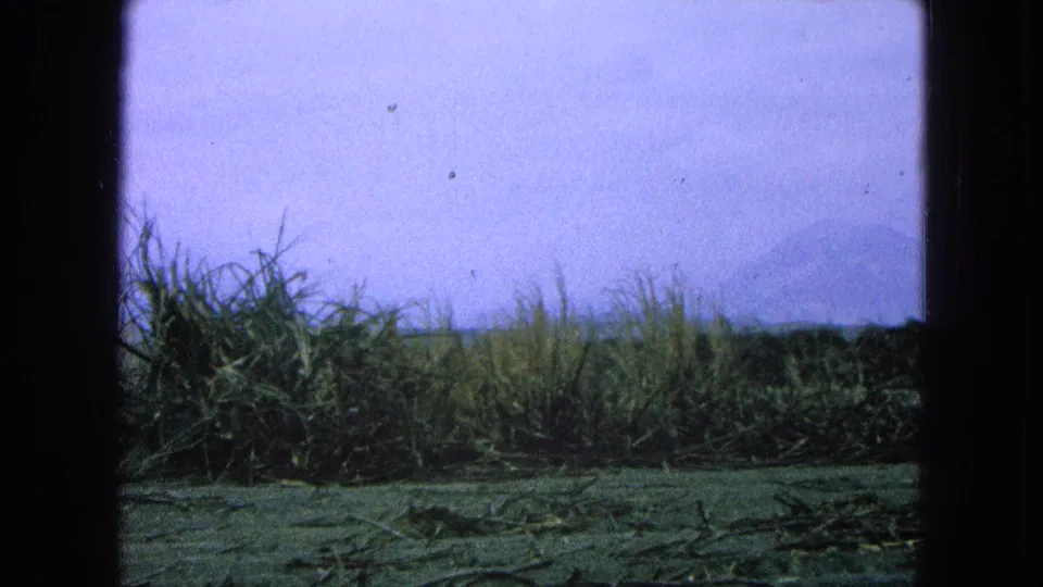 A 1965 Pueblo, Mexico landscape frame showing grass, cleared foreground, pale sky, and faint distant hills or haze.