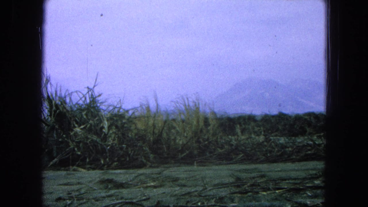 Rural field with tall brush, distant hazy mountains, and dark 8mm frame edges.