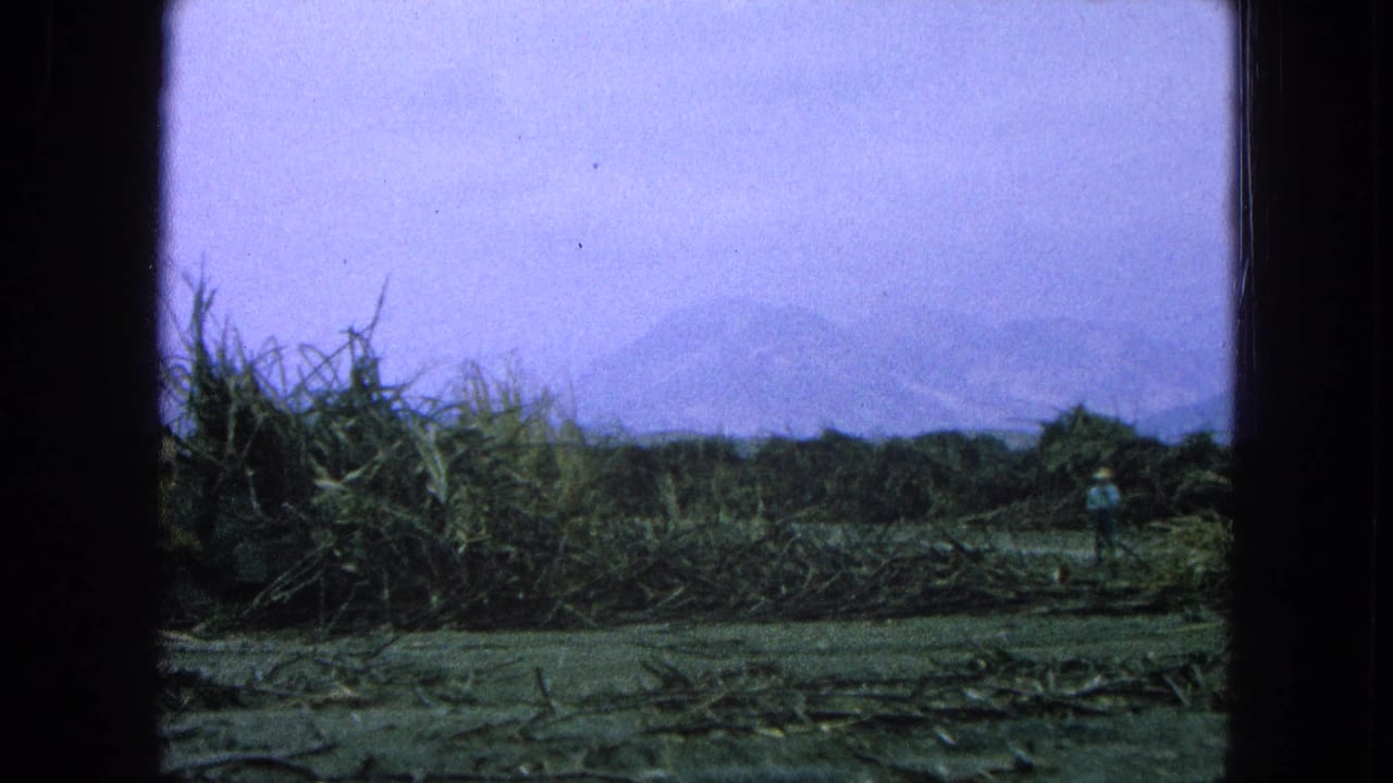 A worker stands near brush in a field with distant mountains and a hazy sky.