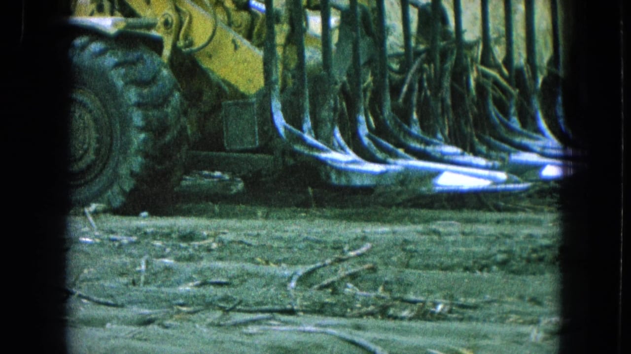 Yellow tracked machine with front rake tines beside cut stalks on dirt ground.