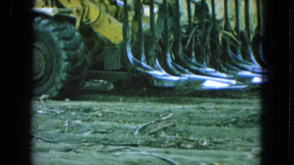 In Pueblo, Mexico, 1965, a yellow tracked farm machine with rake tines stands near cane-like stalks on a dirt plot.