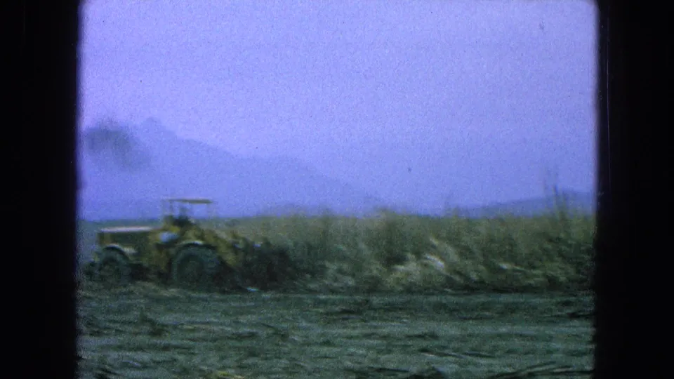 A yellow tractor with a distant operator appears in a rural Puebla field, pushing or working near tall vegetation under a hazy sky.