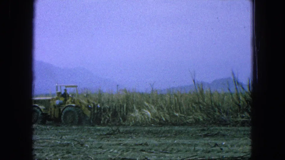 The tractor remains near the left edge of a rural Mexican field as tall vegetation and hazy mountains fill the background.