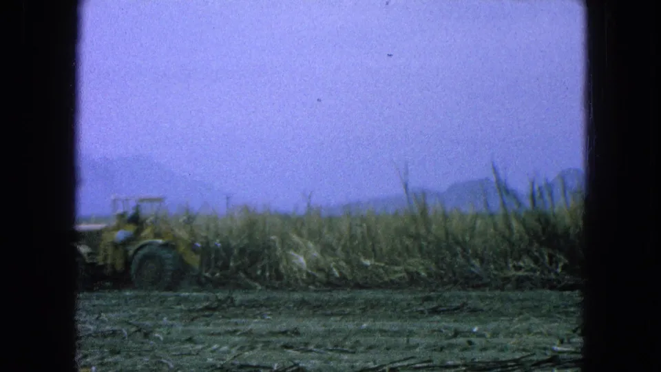 1965 Pueblo, Mexico 8mm frame showing a yellow tractor working near tall sugarcane with distant hills under a hazy sky.