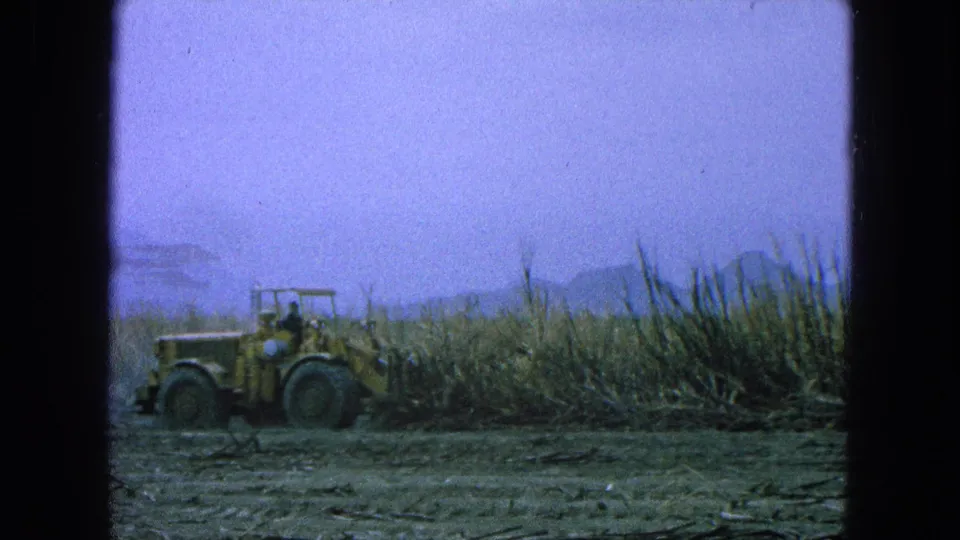 The tractor appears closer to the cane rows, with the driver visible and the landscape softened by 8mm haze.