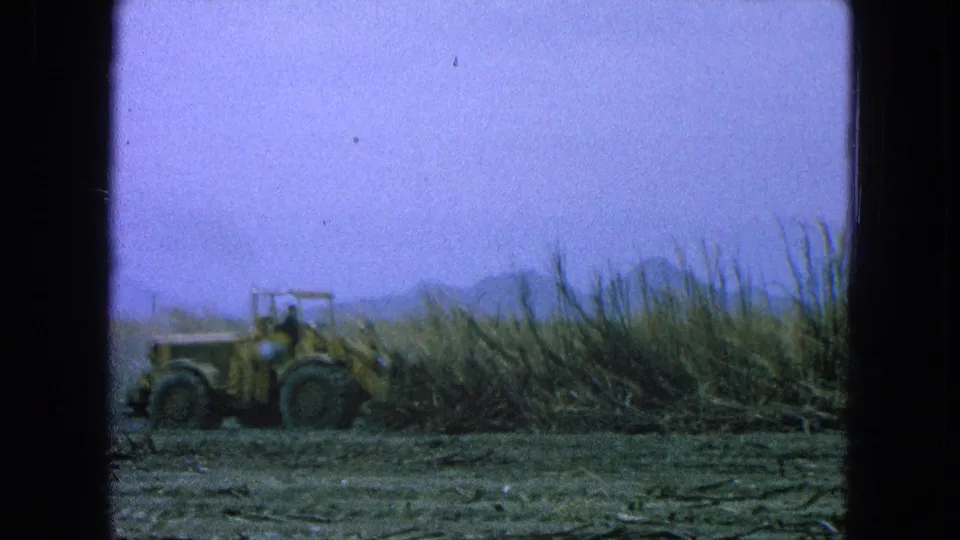 Final frame shows the yellow tractor and driver beside dense sugarcane, with hazy mountains in the background.