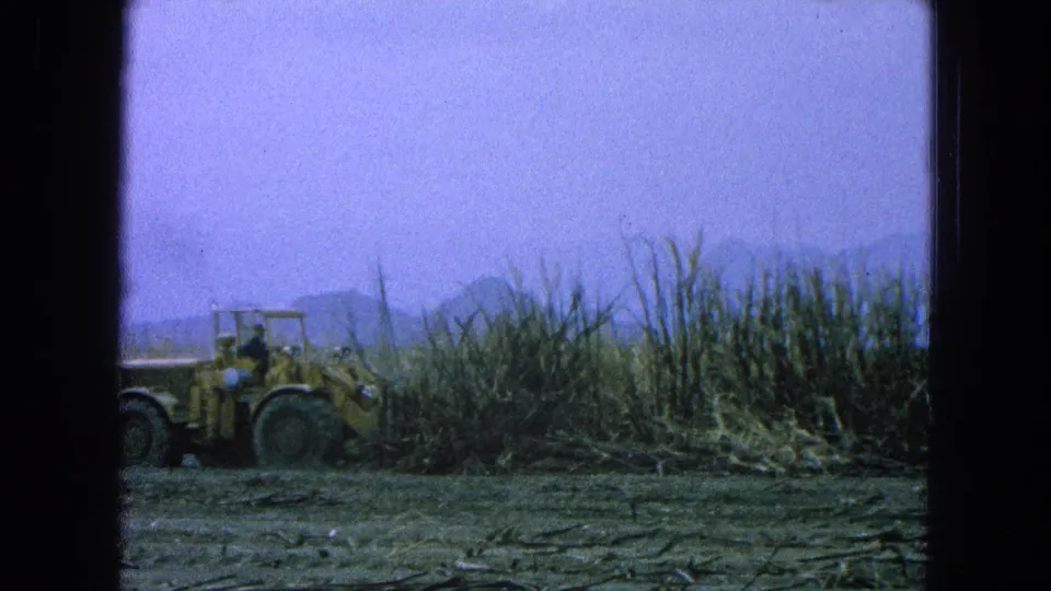 Yellow front loader with a visible operator moves through dry cane in Puebla, Mexico, on 1965 8mm footage.