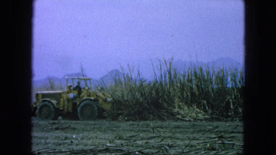 8mm frame from 1965 Puebla, Mexico showing a loader and driver beside dry cane with mountains faintly visible.