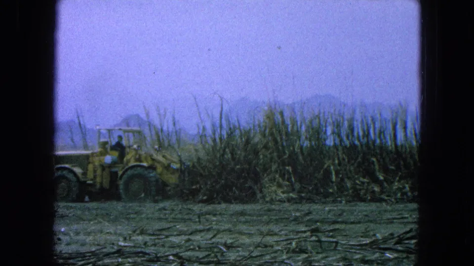A yellow front loader with operator works beside dry sugarcane in a barren Puebla field, captured on 1965 8mm film.