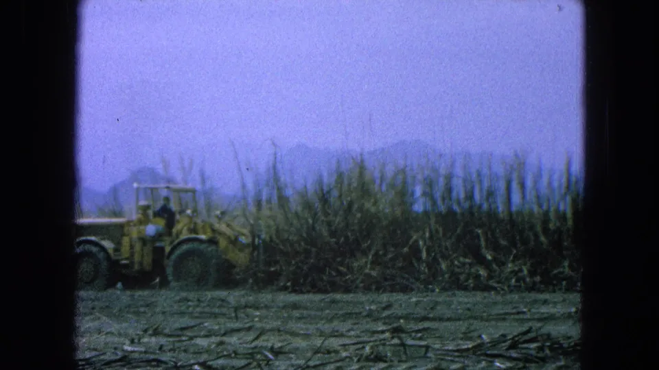 1965 Pueblo, Mexico 8mm frame showing a yellow loader at the edge of a sugarcane field with hazy mountains beyond.