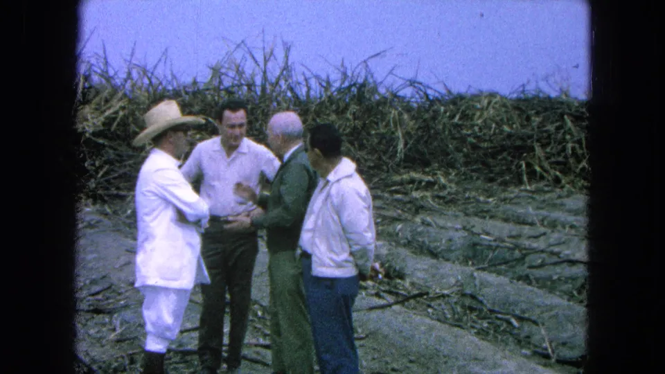 Four men, including one in a straw hat, converse in a 1965 Pueblo, Mexico sugarcane field after harvesting.