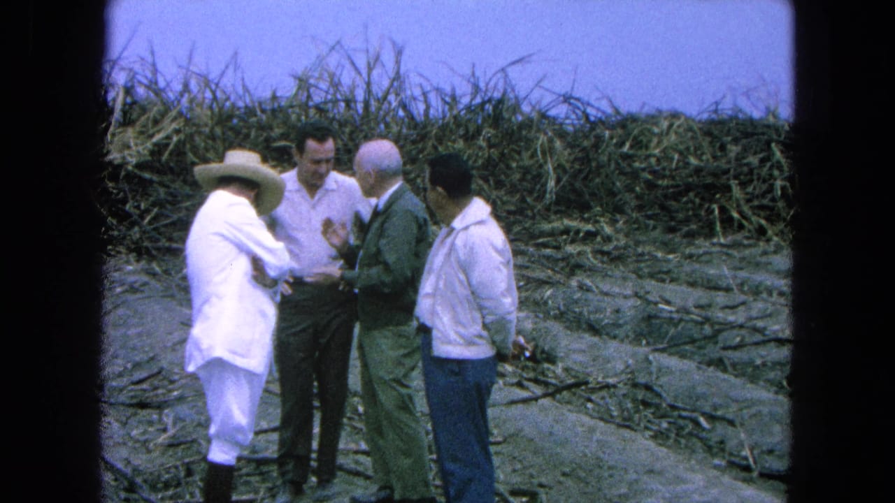 Four adult men stand talking beside cut sugarcane in a harvested field.