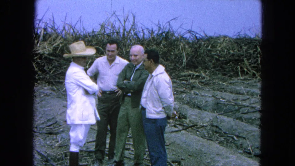 The group remains in conversation beside rows of cut sugarcane, with 8mm grain and soft color visible in the frame.