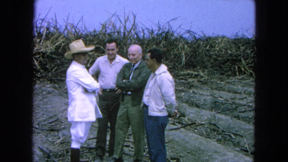 Four adult men continue talking in the sugarcane field, with the 1965 Pueblo, Mexico setting supported by clip metadata.