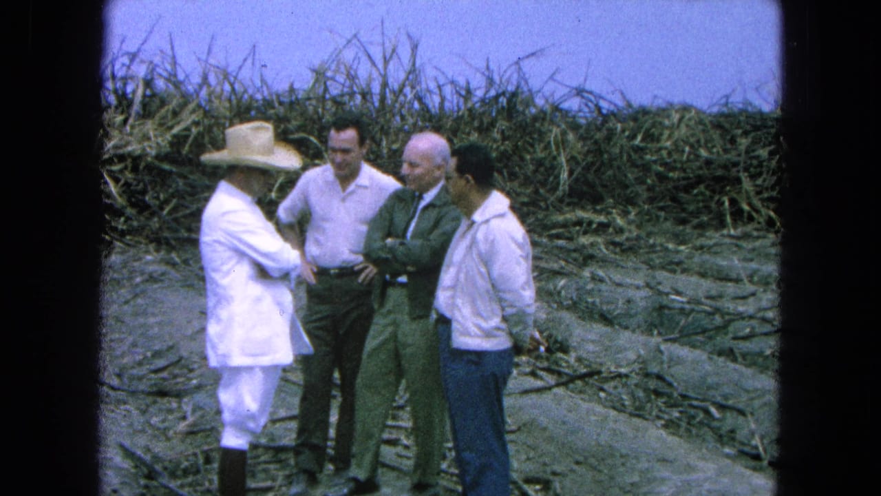 Four adult men stand talking in a harvested sugarcane field.