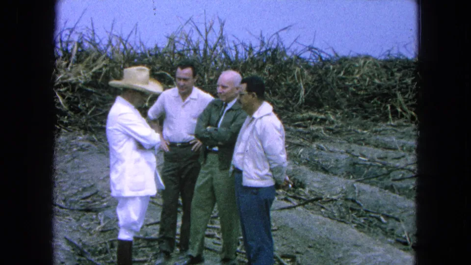 Four men remain grouped in the harvested sugarcane field in 1965 Pueblo, Mexico, with the man in white facing the others.