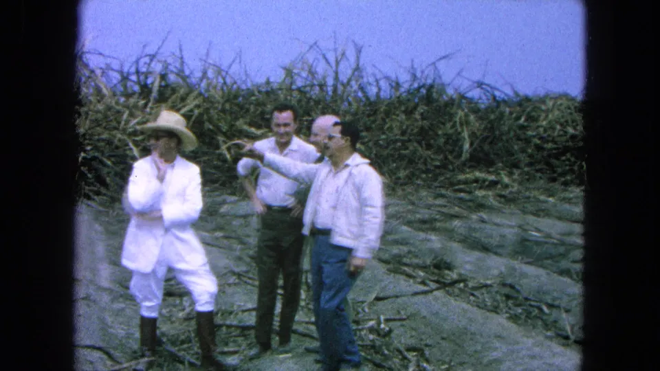 Three visible men in the 1965 Pueblo, Mexico sugarcane field, with one man gesturing across the harvested rows.