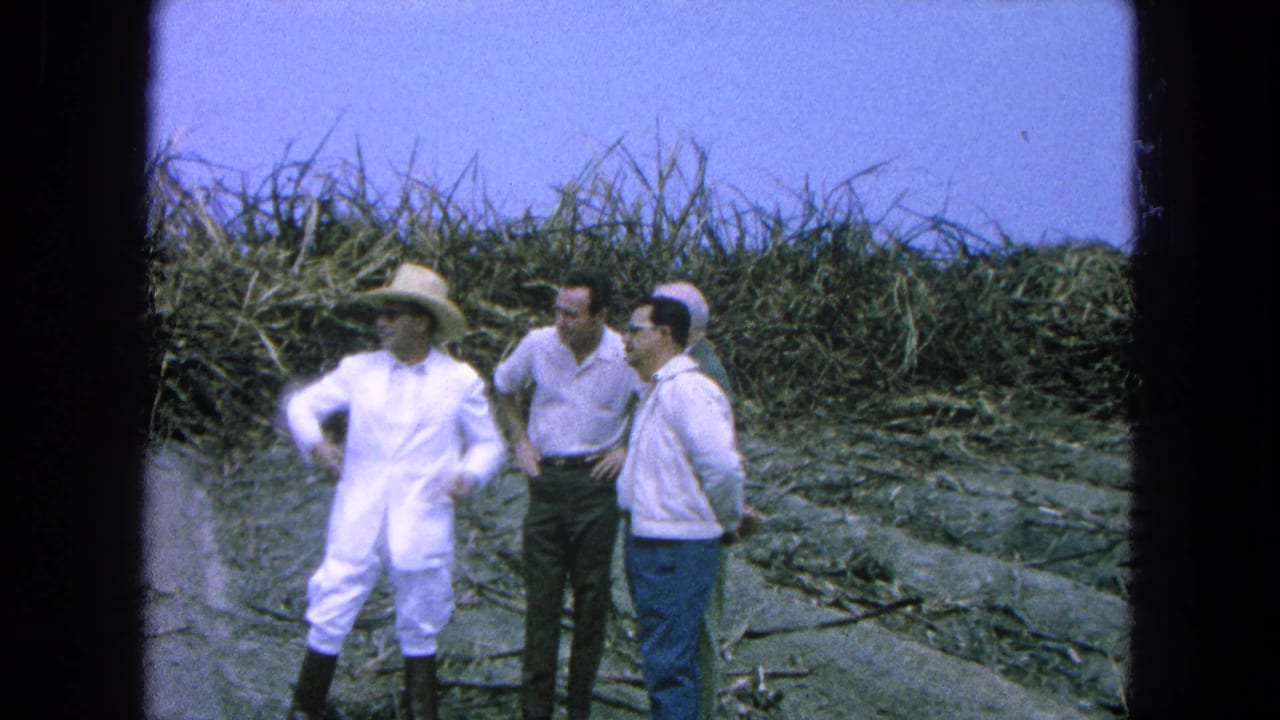 In a 1965 Pueblo, Mexico field scene, three men stand near tall crops as a man in a white suit and straw hat gestures during conversation.