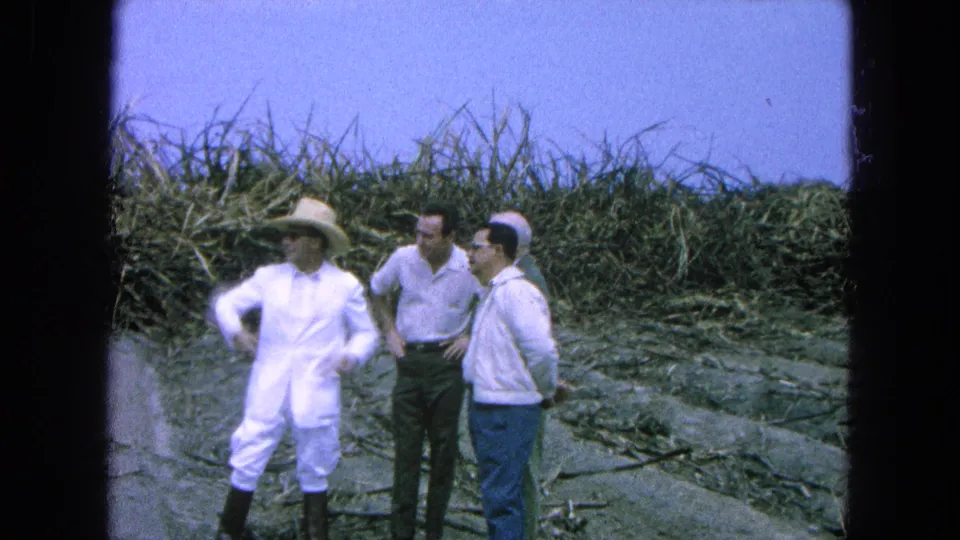 In a 1965 Pueblo, Mexico field scene, three men stand near tall crops as a man in a white suit and straw hat gestures during conversation.
