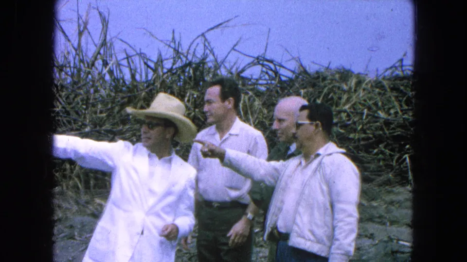 A closer 1965 Pueblo, Mexico field view shows the man in white and another man pointing while the group faces the crops.