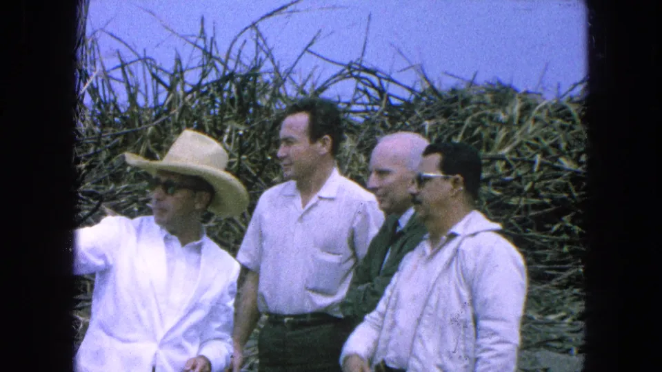 The group remains in the 1965 Pueblo, Mexico field as the straw-hatted man gestures left and the others watch from beside the crops.