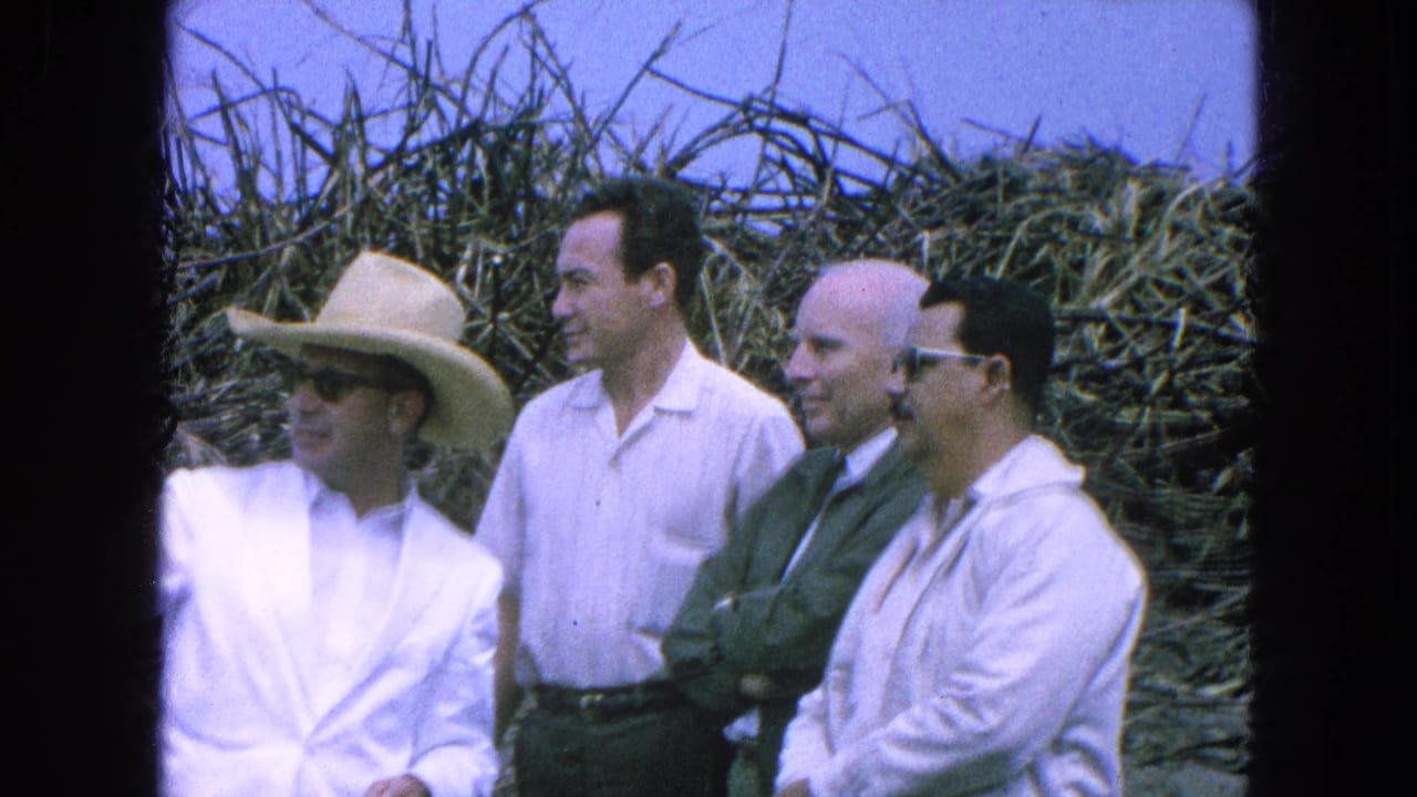 Four adult men stand beside tall harvested field growth under a bright sky.