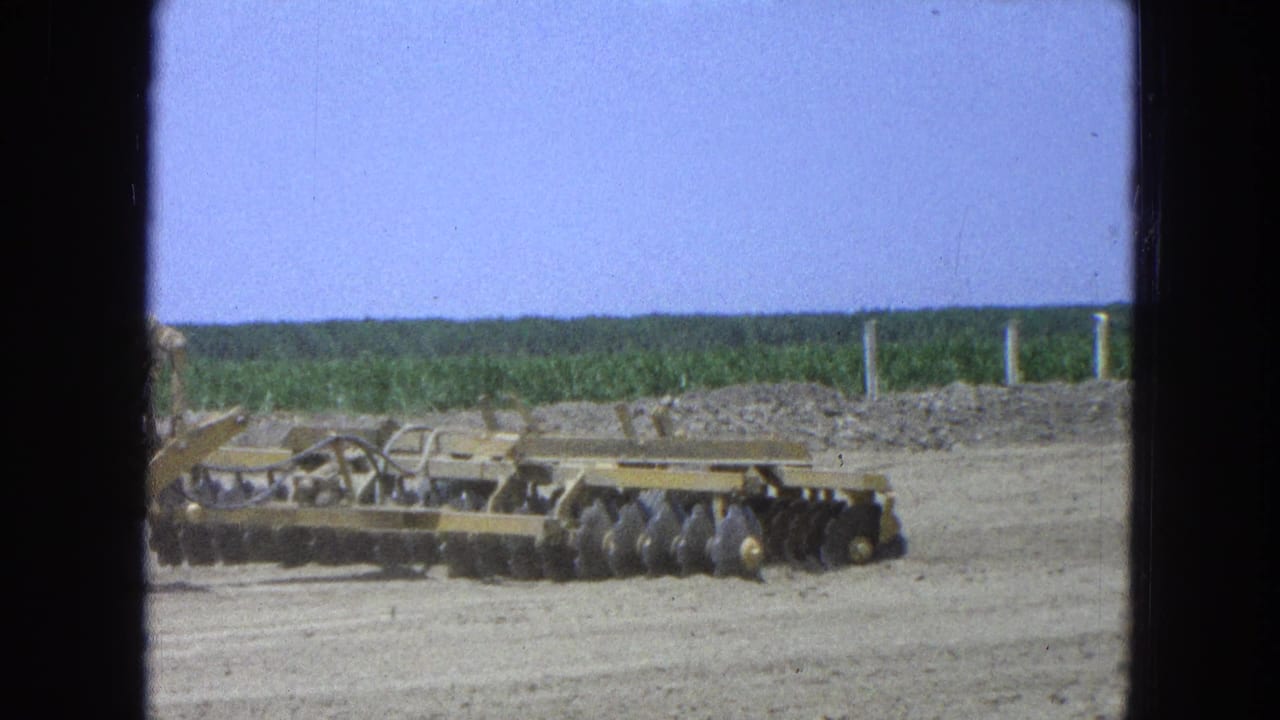 Yellow disc harrow equipment at the edge of a broad tilled field under blue sky.
