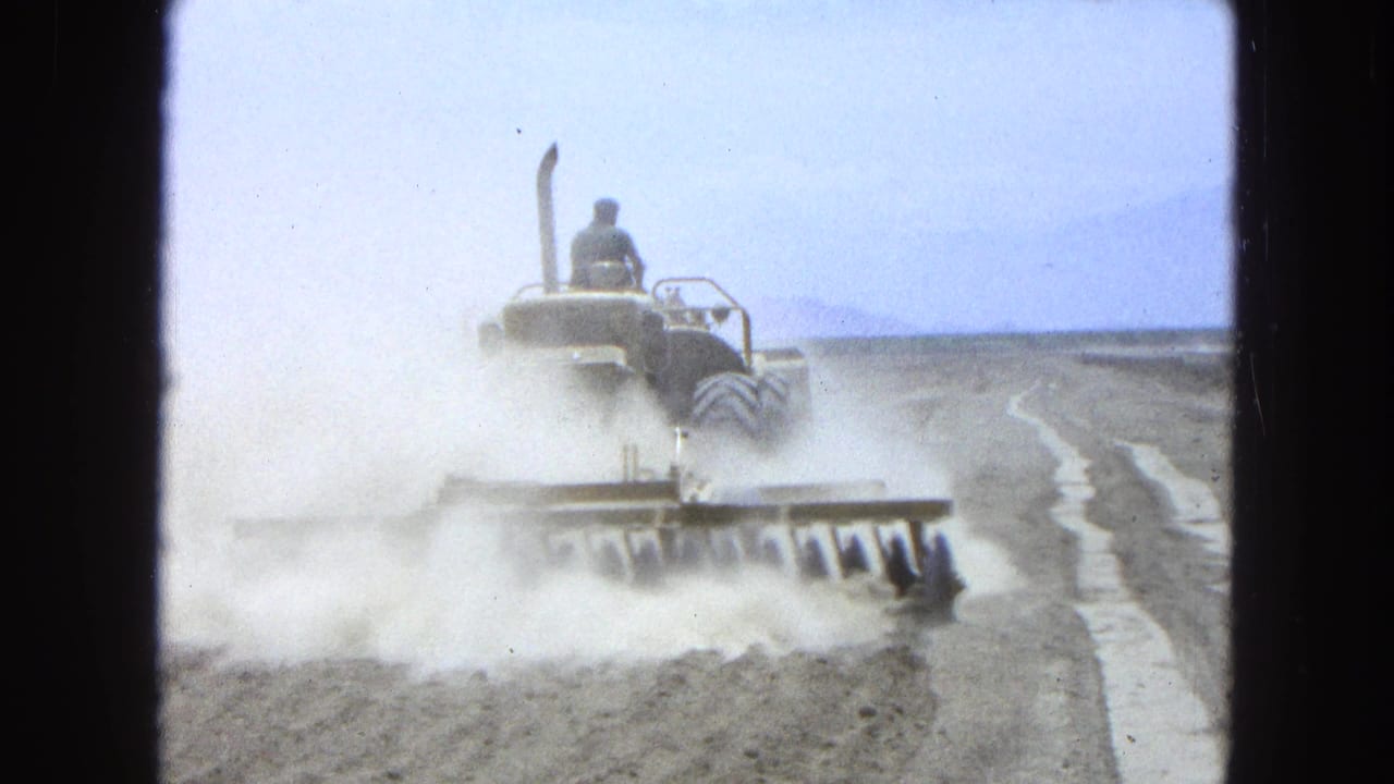 Rear view of a tractor pulling a disc harrow through a dusty field.