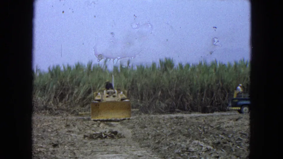 A yellow bulldozer sits on cleared dirt land before tall crops, while a small vehicle and worker appear at frame right.