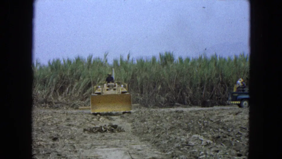 The bulldozer remains centered on the cleared field, with tall green crops behind and a utility vehicle partly visible to the right.