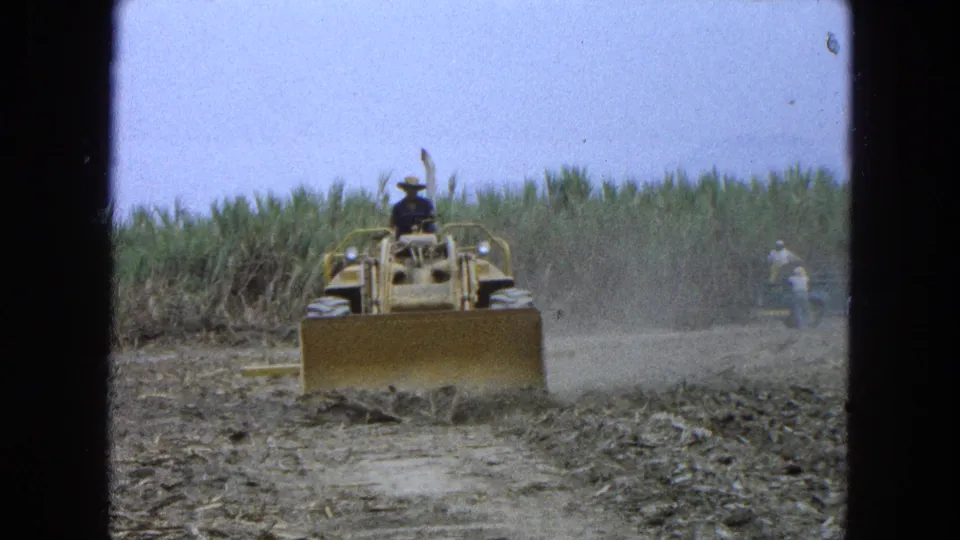 1965 Pueblo, Mexico frame showing the bulldozer centered on a dirt track, dust hanging near the field edge, and tall sugarcane behind the work area.