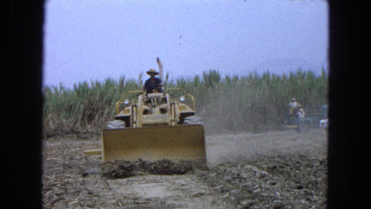 Bulldozer blade pushes dirt and cane remnants as workers stand in the distance.