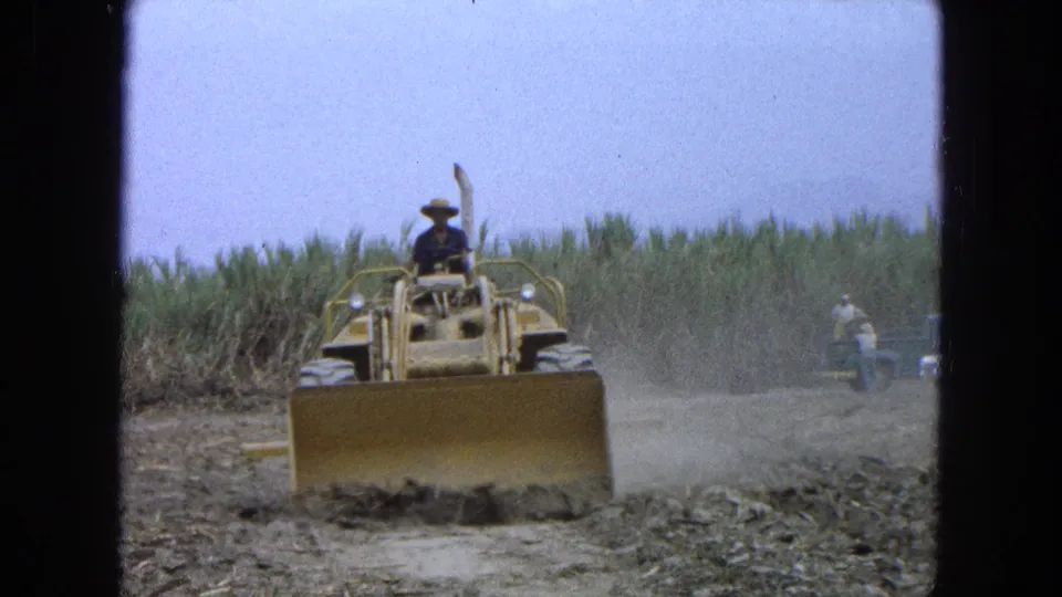 1965 Pueblo Mexico home-movie frame showing the loader centered in the field, pushing debris while cane and a distant worker remain in view.