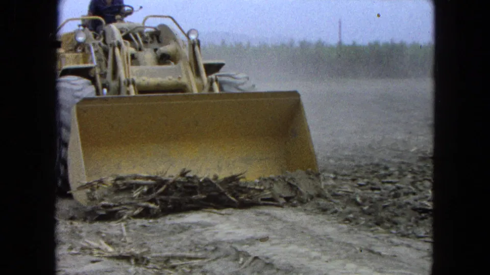 Closer 1965 Pueblo Mexico frame of the yellow loader blade pushing cane remnants across muddy ground with dust and cane rows behind.