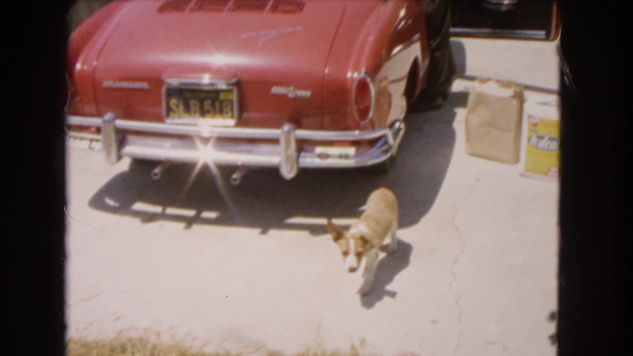 1966 Barstow home-movie frame showing a small tan dog near the rear bumper of a red Volkswagen Karmann Ghia, with packing items beside the car.