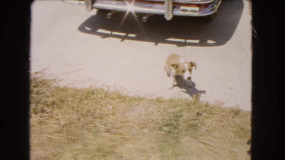 1966 Barstow 8mm frame with a small tan dog moving toward the camera, partly separated from the red car by bright driveway light and grass.