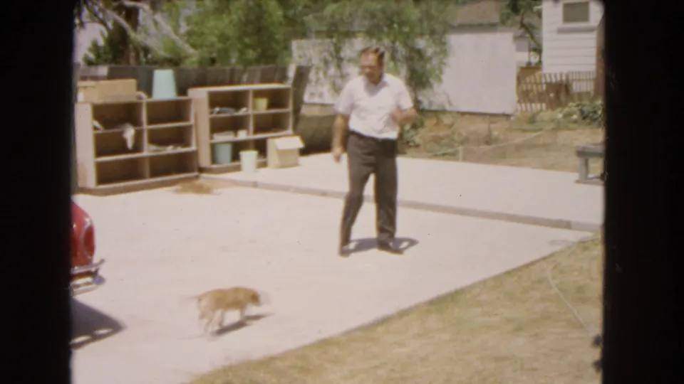 The man and small dog are separated across the driveway, with wooden shelving, fencing, trees, and a house visible behind them.