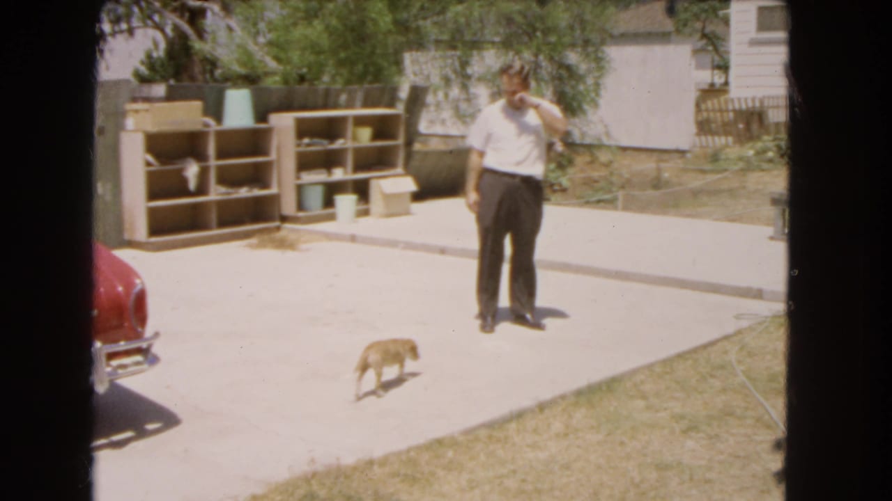 1966 Barstow home-movie frame showing an adult man on a sunny backyard patio as a small dog walks nearby.