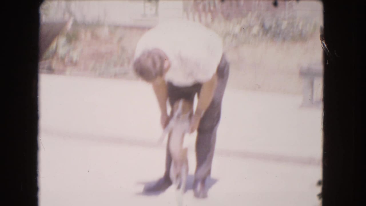 Man bends over a small puppy on a bright concrete driveway.