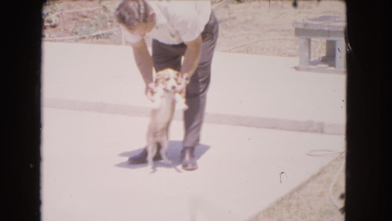 Man holds a small puppy upright by its front legs on the driveway.