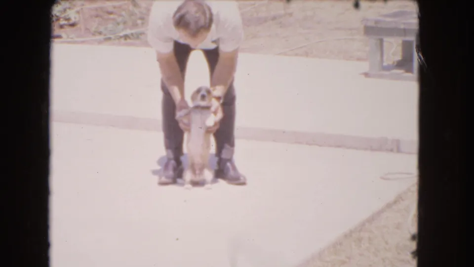 A small puppy is centered between the man's shoes as he bends down over it in the 1966 Barstow driveway footage.