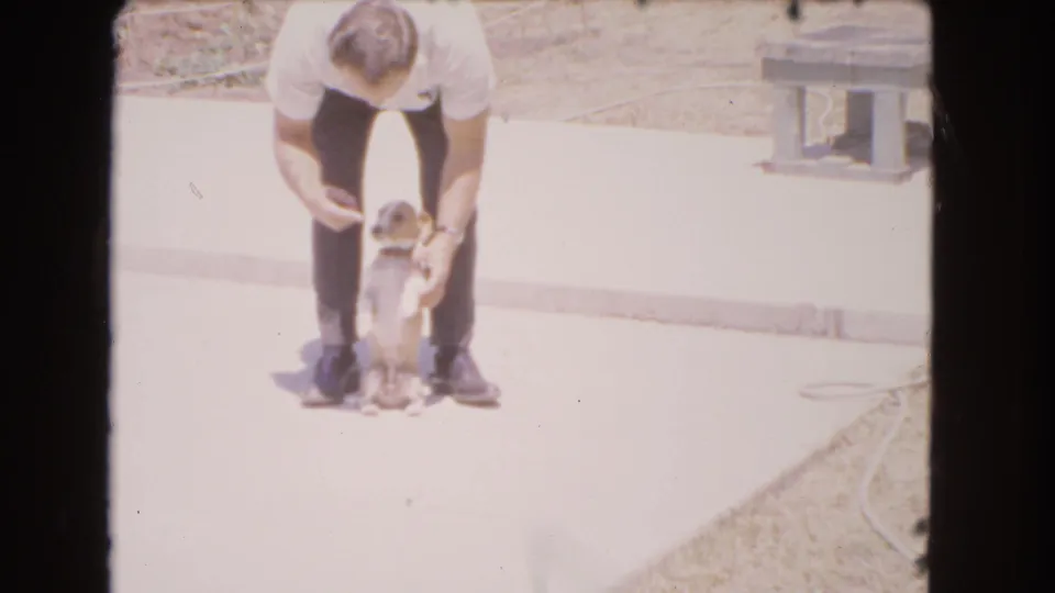 The man keeps one hand near the puppy as it stands on the driveway in the closing frame of the 1966 Barstow clip.